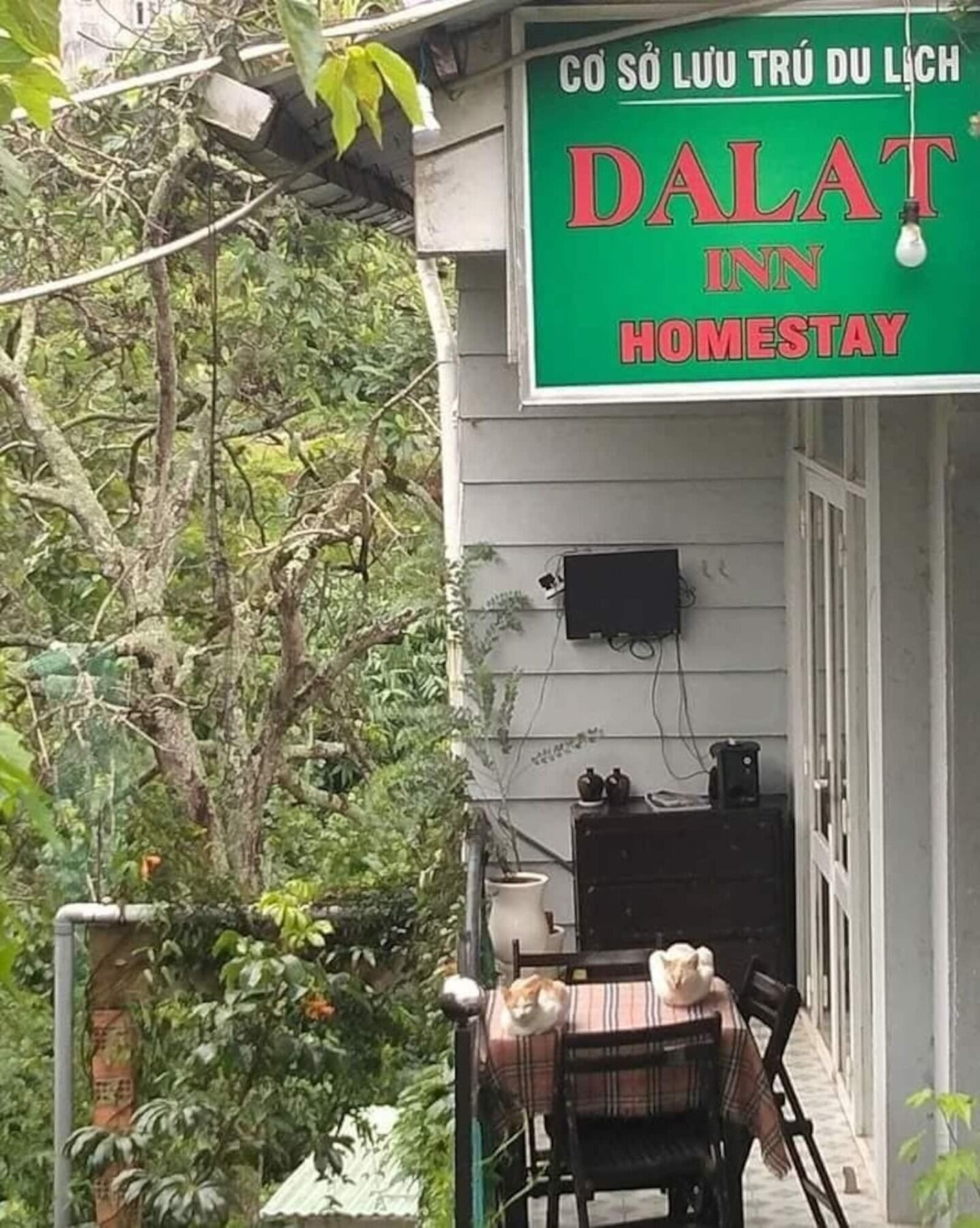 Dalat Inn Homestay Da Lat Exterior foto